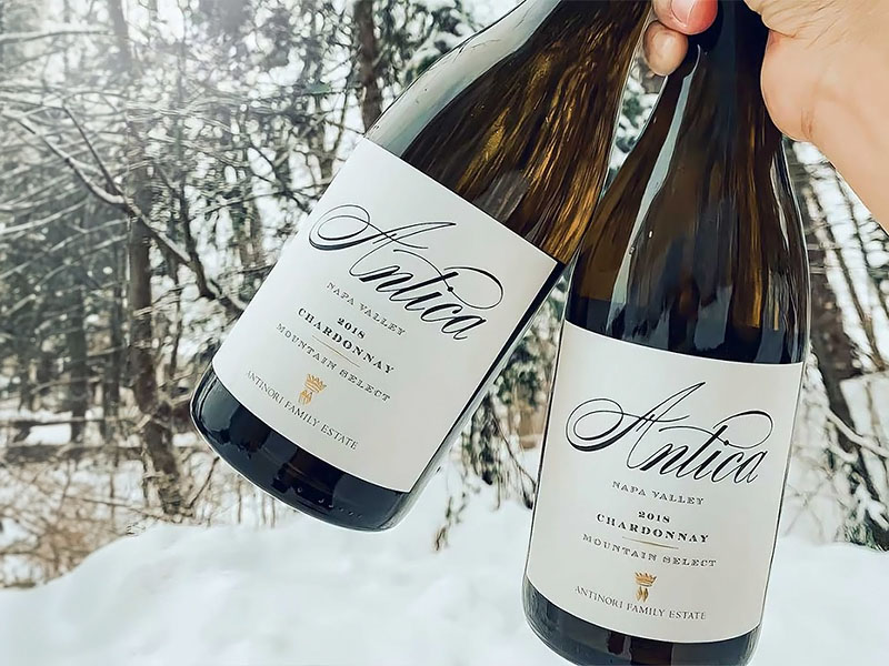 rượu vang antica chardonnay mountain select