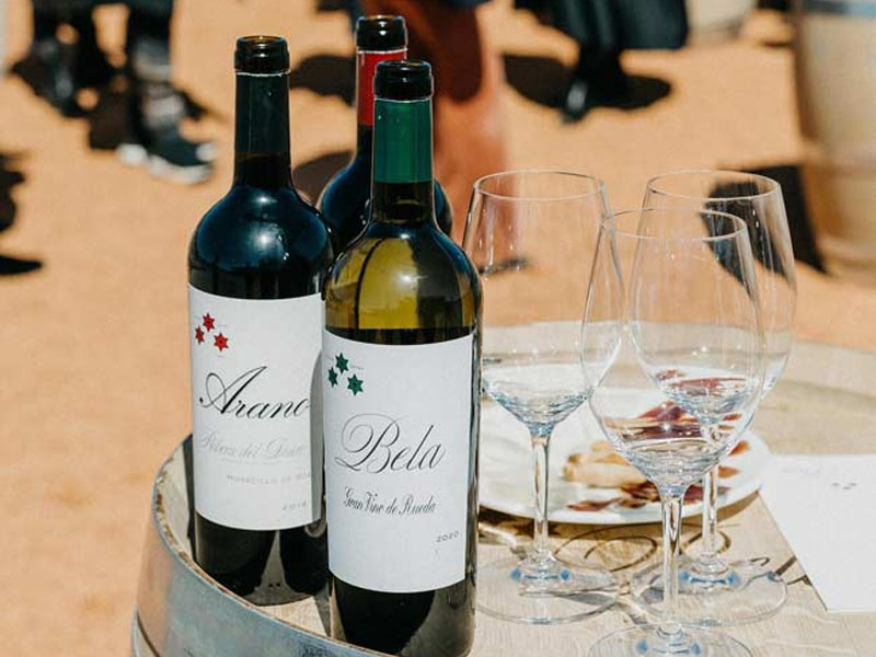 rượu vang bela verdejo