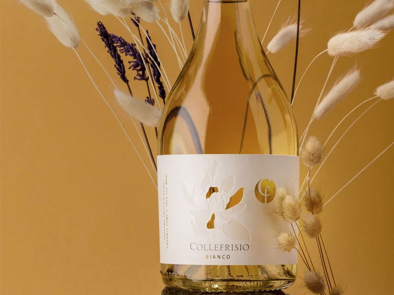 rượu vang cf collefrisio bianco