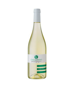rượu vang cf collefrisio pinot grigio
