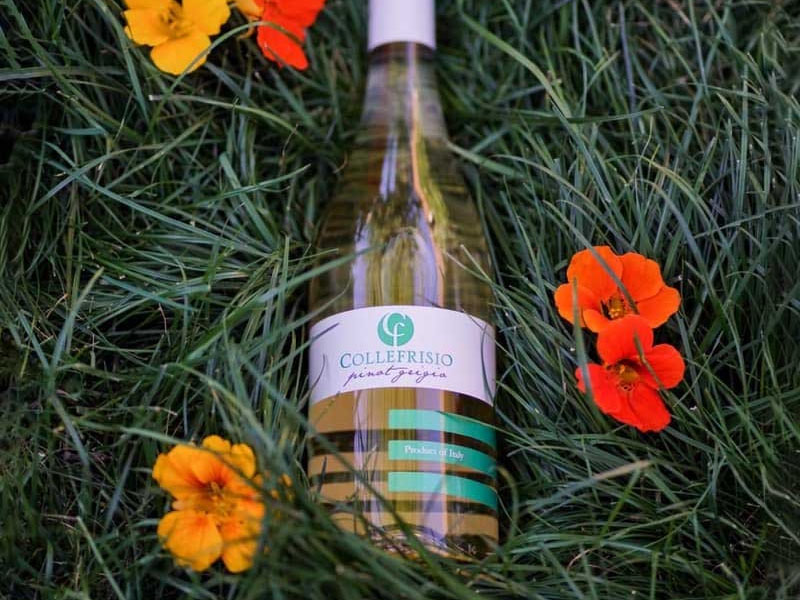 rượu vang cf collefrisio pinot grigio