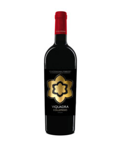 rượu vang cf collefrisio viquadra montepulciano d’abruzzo
