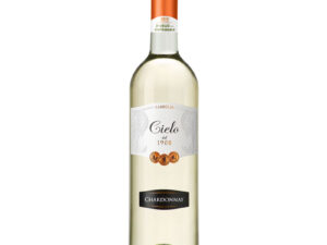 rượu vang cielo chardonnay