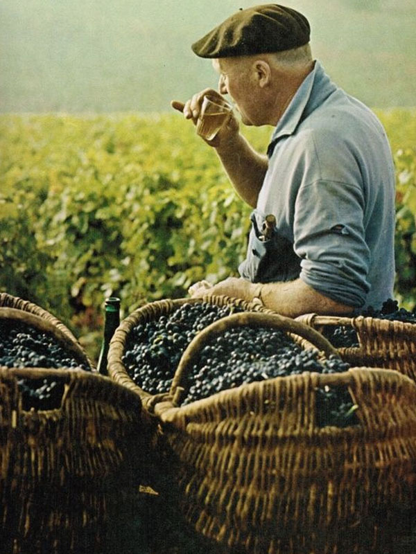 rượu vang muga el andén