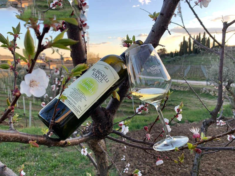 rượu vang rubinelli vajol fiori bianchi rượu vang rubinelli vajol fiori bianchi