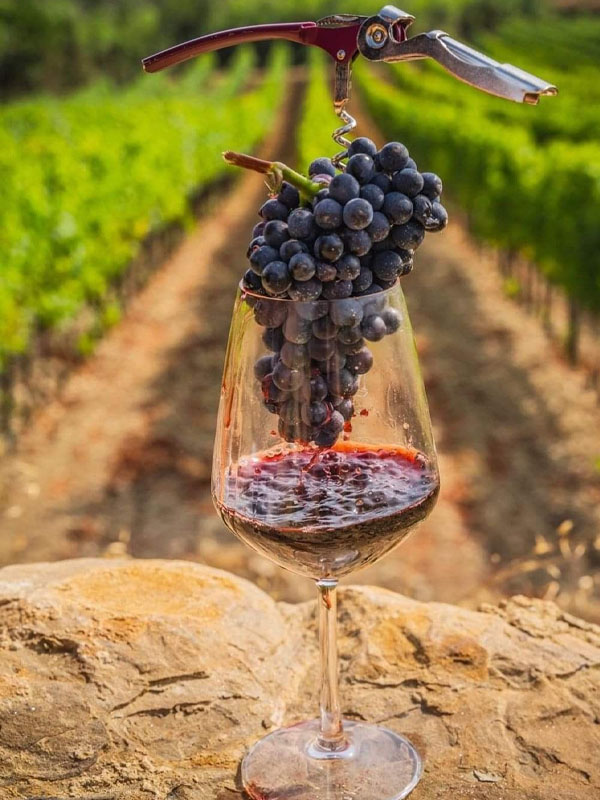 rượu vang salentein barrel selection malbec