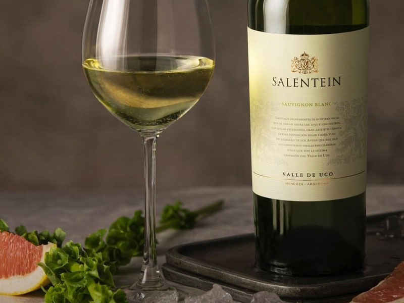 rượu vang salentein selection sauvignon blanc rượu vang salentein selection sauvignon blanc