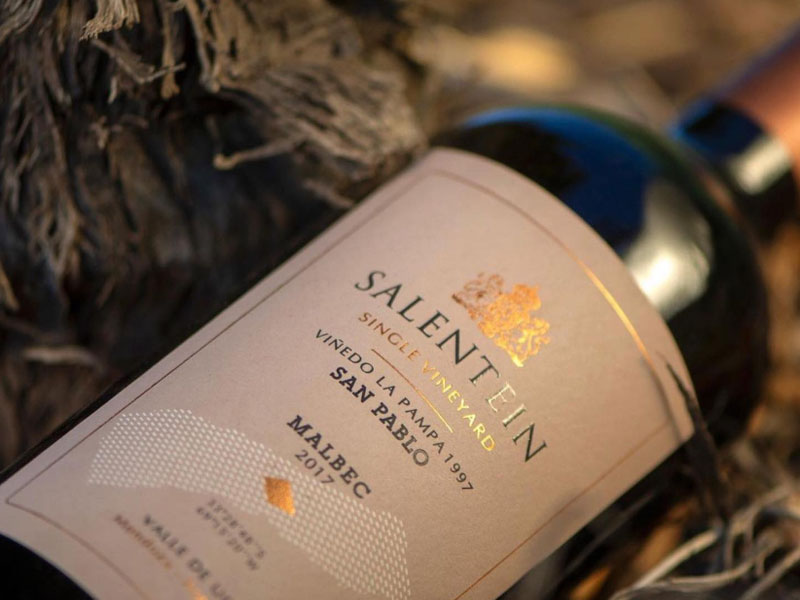 rượu vang salentein single vineyard