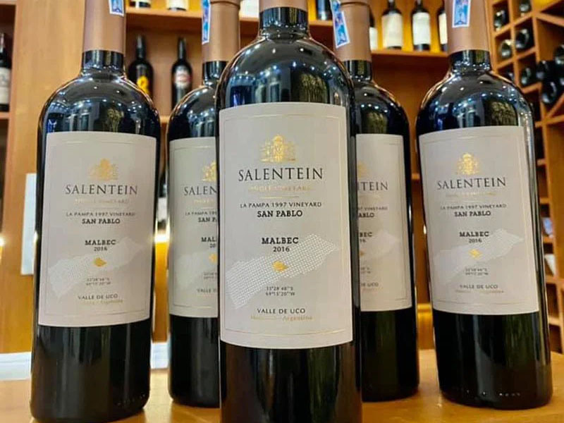 rượu vang salentein single vineyard