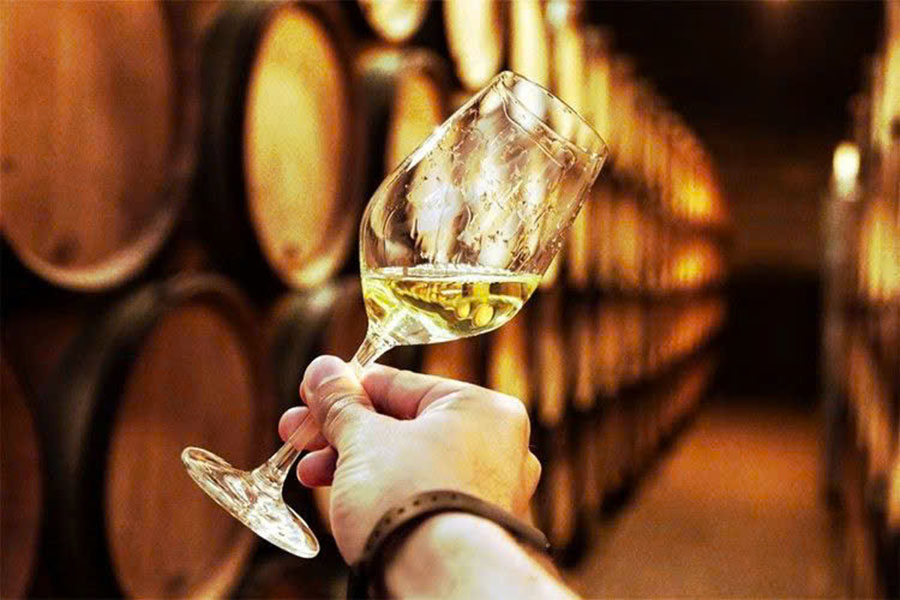 rượu vang susana balbo anubis chardonnay mendoza rượu vang susana balbo anubis chardonnay mendoza