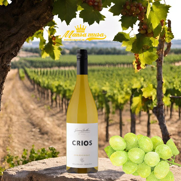  rượu vang susana balbo crios chardonnay uco valley