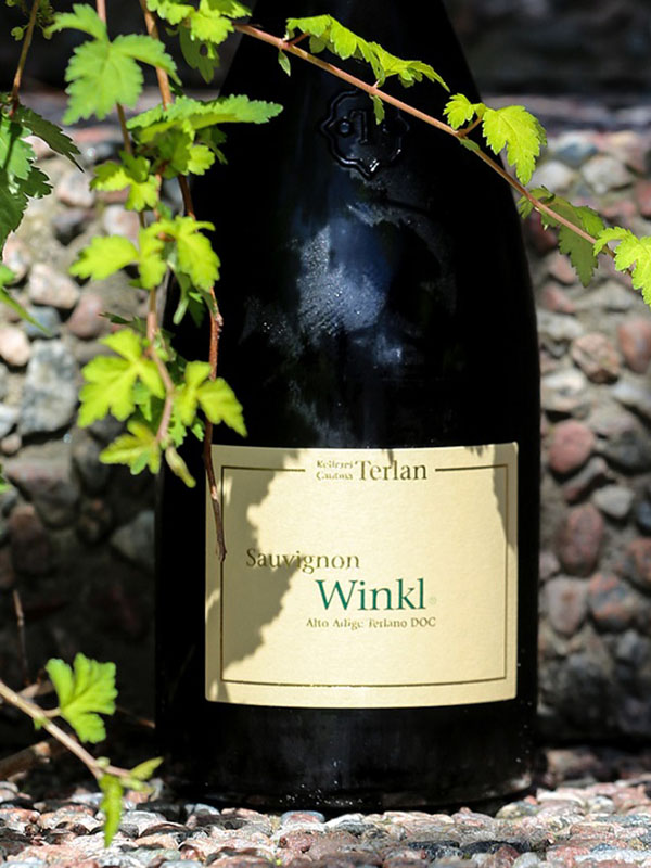 rượu vang terlano winkl sauvignon blanc doc