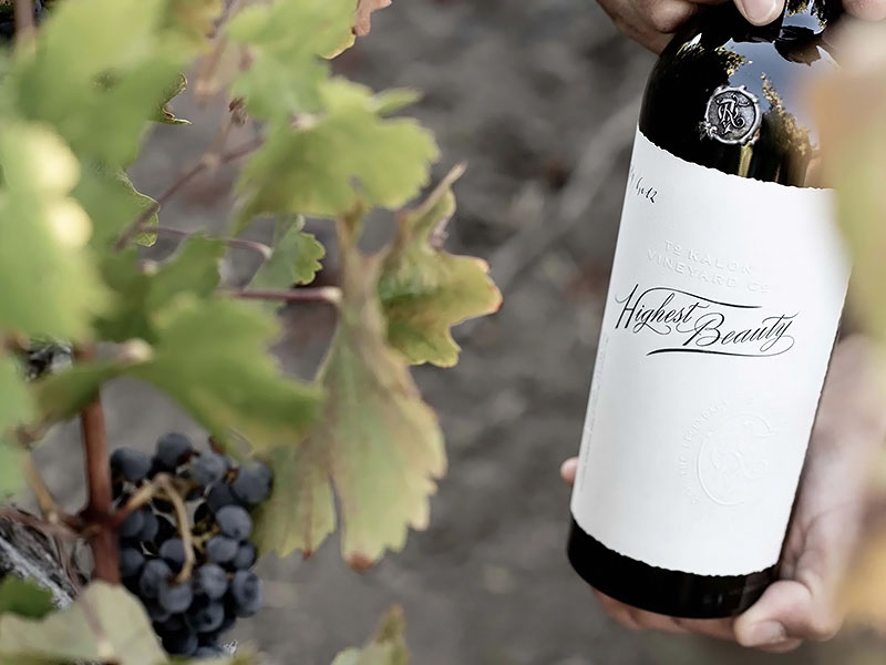 rượu vang to kalon vineyard highest beauty rượu vang to kalon vineyard highest beauty