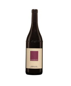 sandrone barbera d’alba