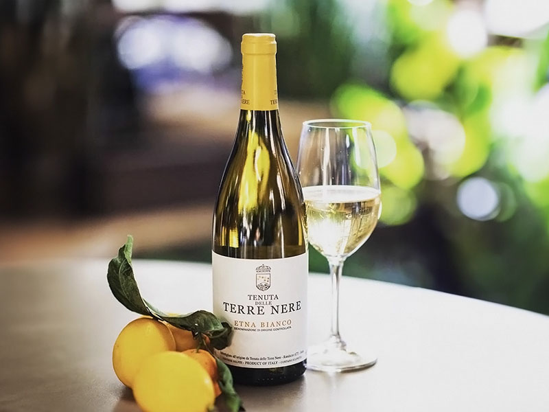 rượu vang terre nere etna bianco salice rượu vang terre nere etna bianco salice