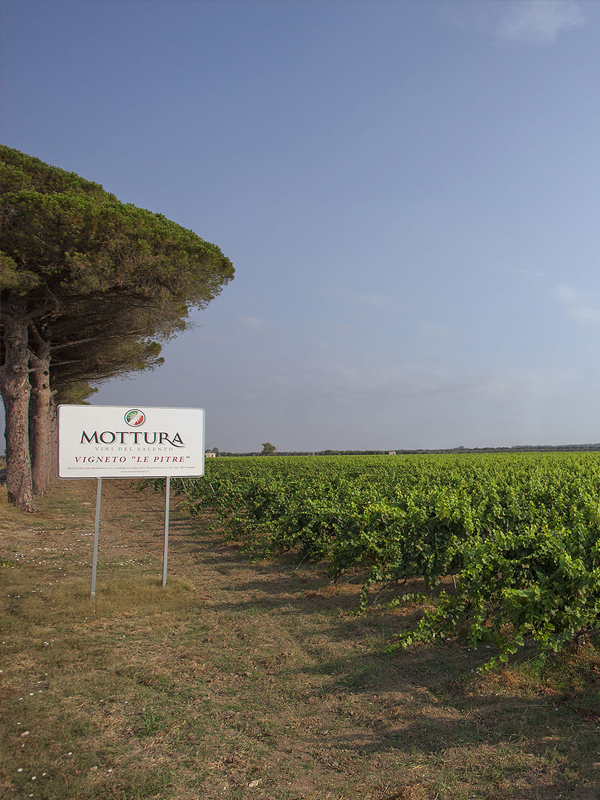 villa mottura susumaniello del salento igt 