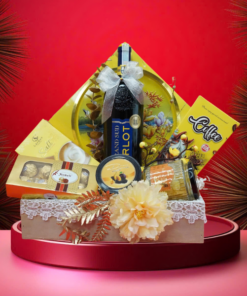 hộp quà tết 2026 – rượu vang pháp ms053