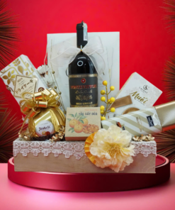 hộp quà tết 2026 – rượu vang ý ms025