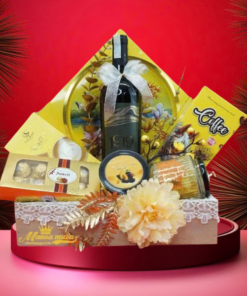 hộp quà tết 2026 – rượu vang ý ms033