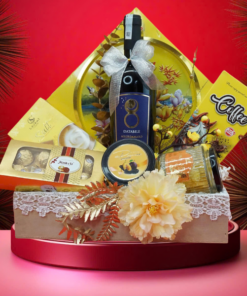 hộp quà tết 2026 – rượu vang ý ms043