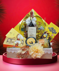 hộp quà tết 2026 – rượu vang ý ms045