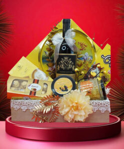 hộp quà tết 2026 – rượu vang ý ms062