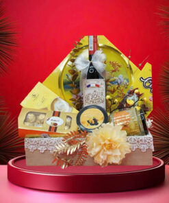 Hộp quà tết 2026 – rượu vang ý ms065