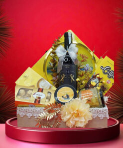 hộp quà tết 2026 – rượu vang ý ms41