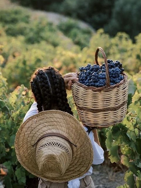 rượu vang domaine gavignet nuits st georges 1er cru les chaignots