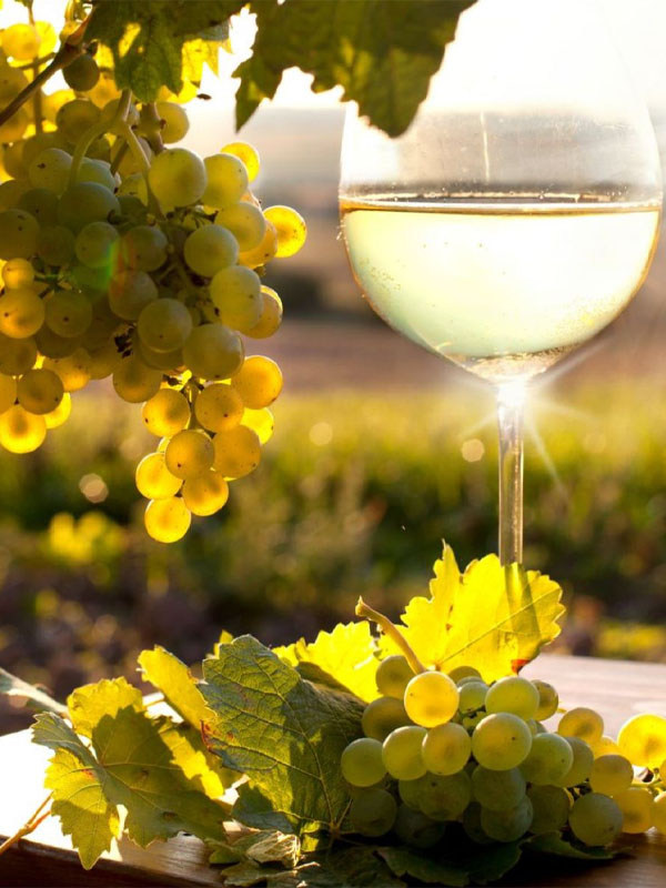 rượu vang domaine zind humbrecht clos jebsal pinot gris