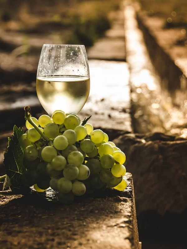 rượu vang domaine zind humbrecht hengst grand cru gewurztraminer