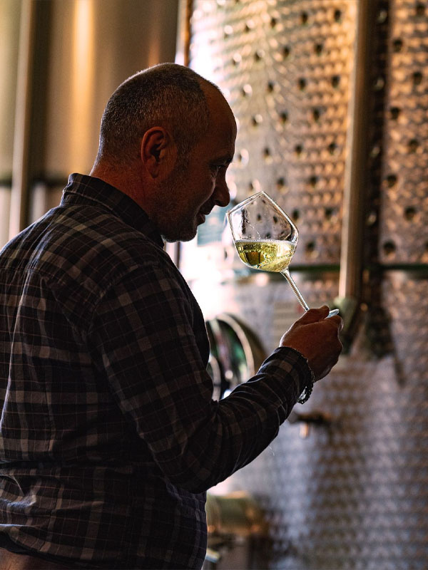 rượu vang les terrasses de l eridan côtes du rhône blanc