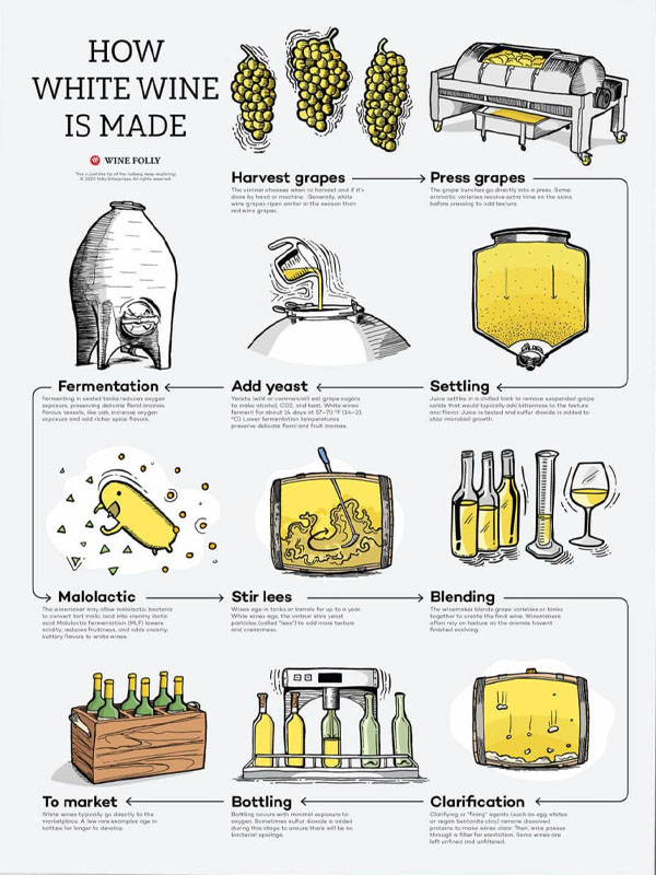 rượu vang maison les alexandrins crozes hermitage blanc rượu vang maison les alexandrins crozes hermitage blanc
