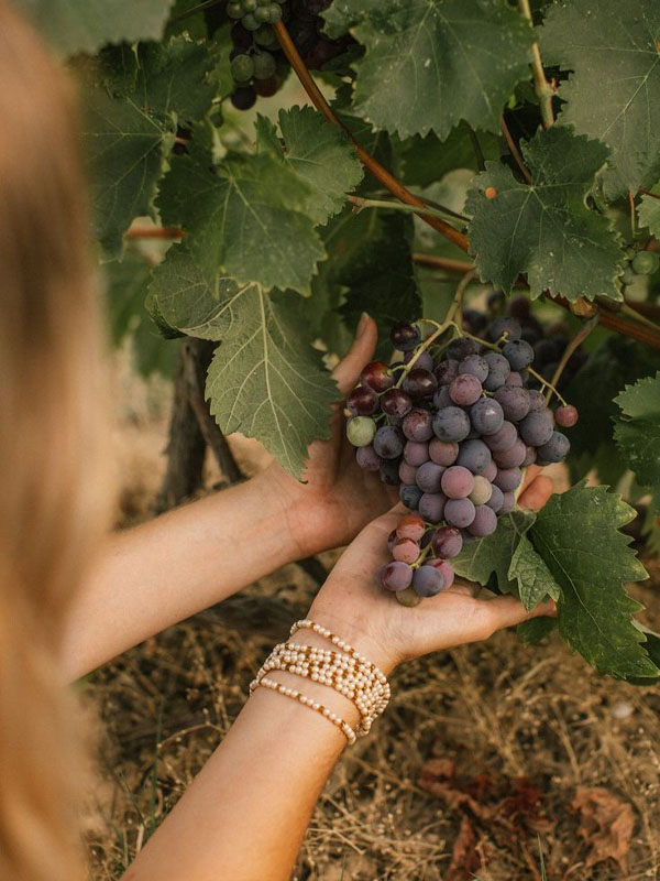 rượu vang maurice gavignet morey-saint-denis 1er cru les millandes