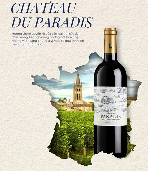 top 5 dòng rượu vang ý nhập khẩu được săn đón dịp tết 2026