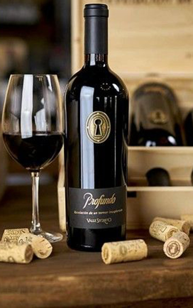 top rượu vang chile bán chạy nhất phân khúc quà tặng 2026