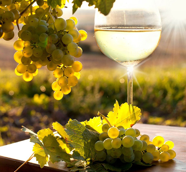 top 10 rượu vang trắng giá rẻ dưới 500k bán chạy nhất 2026