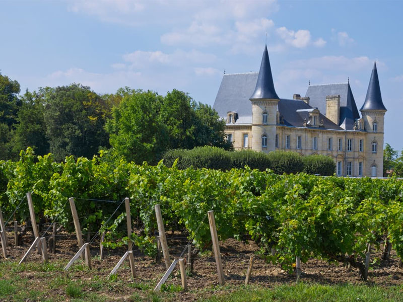 rượu vang đỏ chateau plantey pauillac rượu vang đỏ chateau plantey pauillac