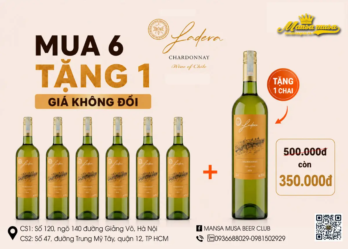 combo 6 sản phẩm hoàn hảo – mua 6 tặng 1 miễn phí