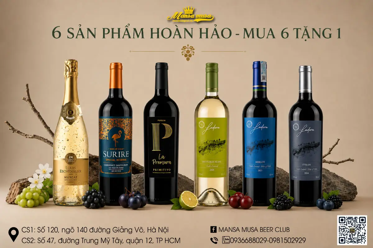 combo 6 sản phẩm hoàn hảo – mua 6 tặng 1 miễn phí