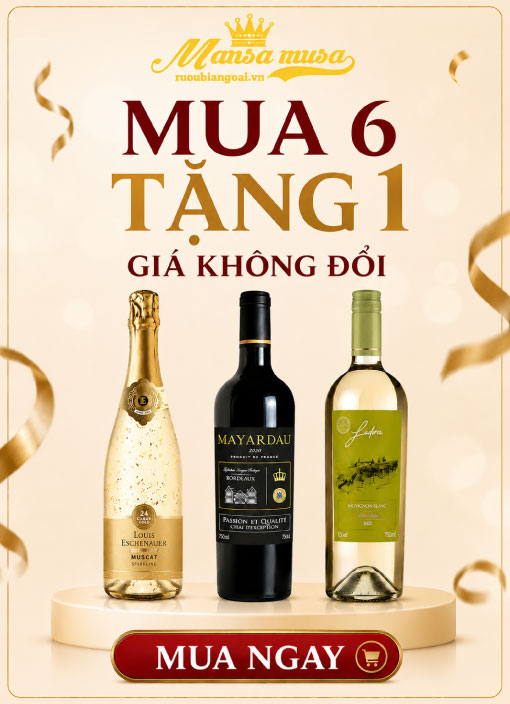 Banner mua 6 tặng 1
