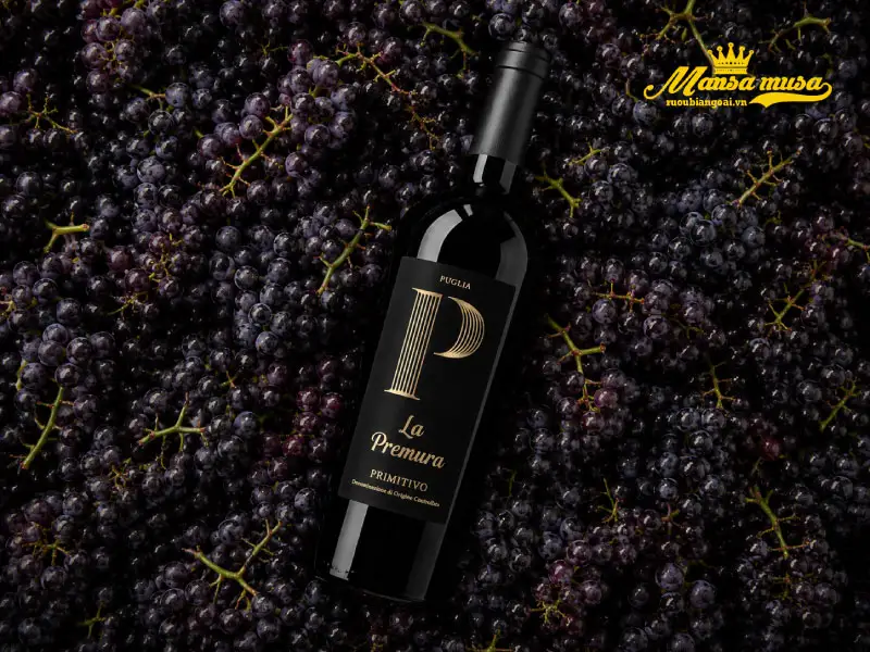 rượu vang ý la premura primitivo rượu vang ý la premura primitivo