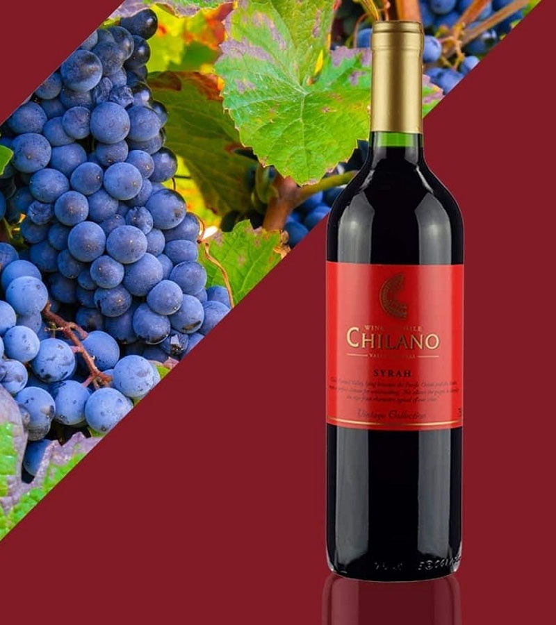 vang chilano syrah vintage collection 2024