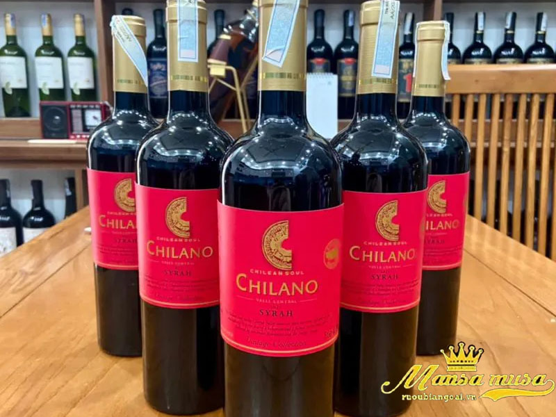 vang chilano syrah vintage collection 2024