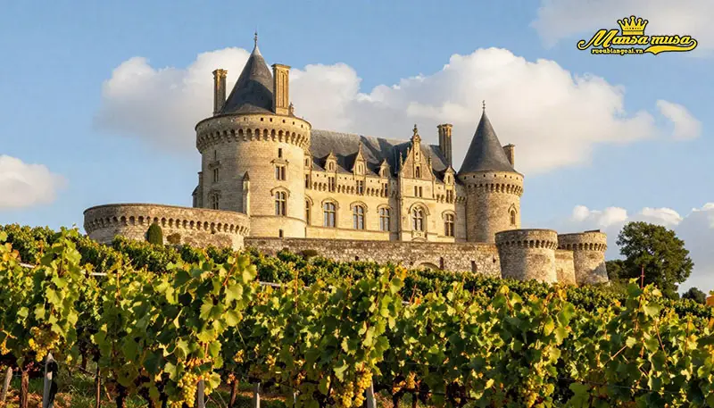 vang pháp château des tourtes