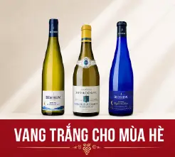 Vang trắng ngày hè