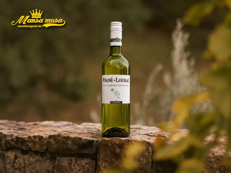 vang trắng vigné-lourac colombard sauvignon vang trắng vigné-lourac colombard sauvignon